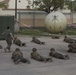 SPMAGTF-CR-AF 19.2 conducts patrolling training to remain vigilant