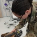 Military Working Dogs Physical Examination