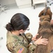 Military Working Dogs Physical Examination