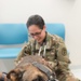 Military Working Dogs Physical Examination