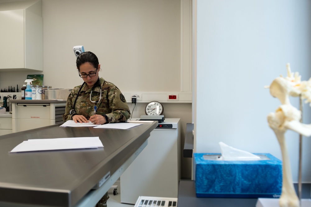 Military Working Dogs Physical Examination