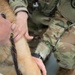 Military Working Dogs Physical Examination