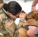 Military Working Dogs Physical Examination