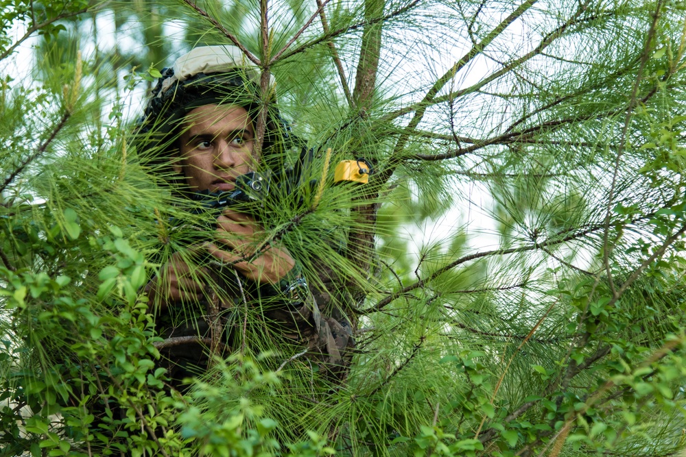 Tunisian Army conducts training at Joint Readiness Training Center.