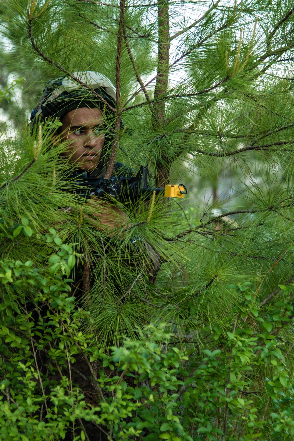 Tunisian Army conducts training at Joint Readiness Training Center.