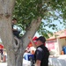 Easter Egg Hunt and Spring Fest