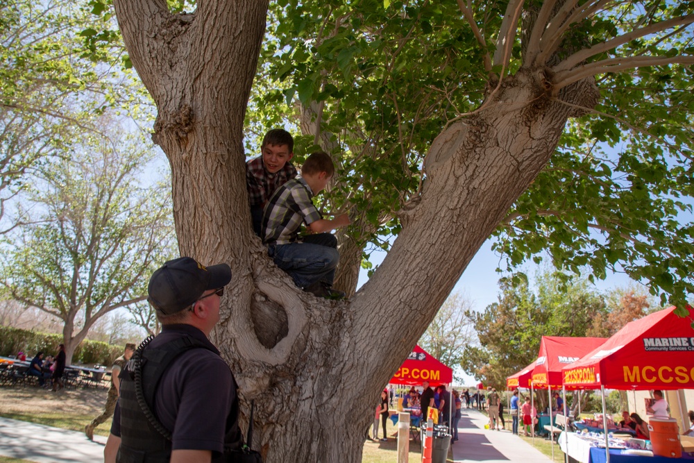 Easter Egg Hunt and Spring Fest