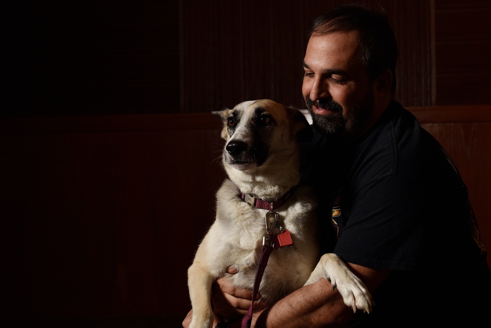 Veterans graduate Four Paws two Freedom