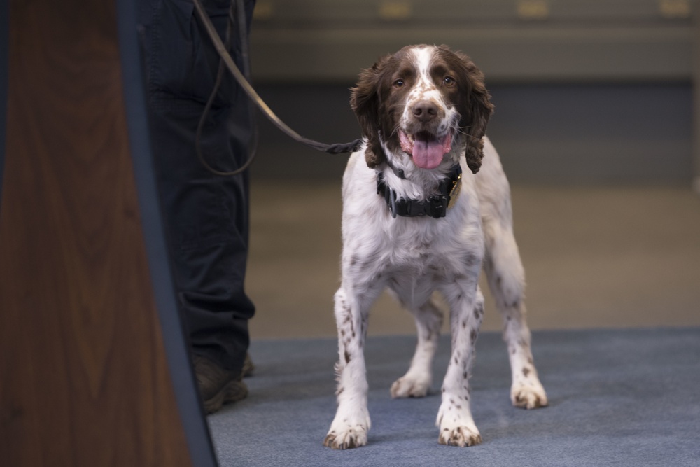 Pentagon Police Officer Talks About the Work of His Four-Legged Partner