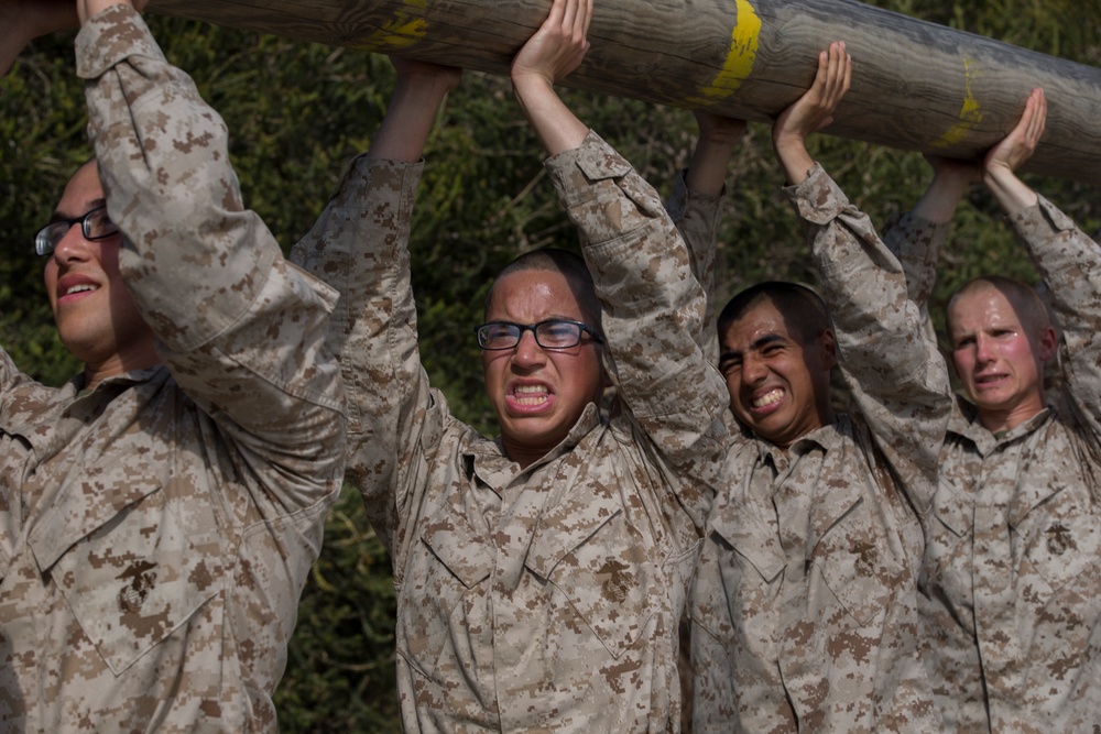 Hotel Company Log Drills