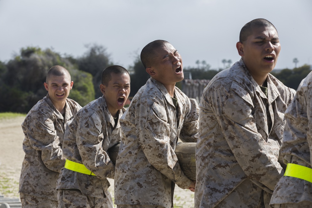 Hotel Company Log Drills