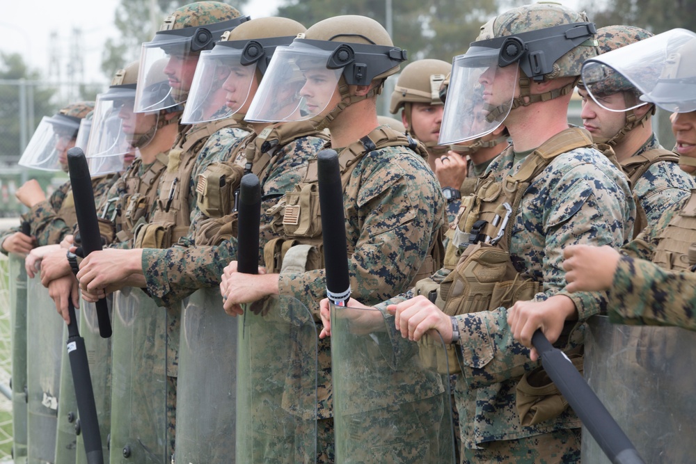 SPMAGTF-CR-AF 19.2 Train in Nonlethal Force Techniques