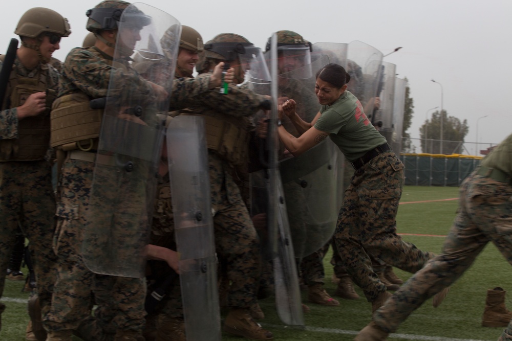 SPMAGTF-CR-AF 19.2 Train in Nonlethal Force Techniques