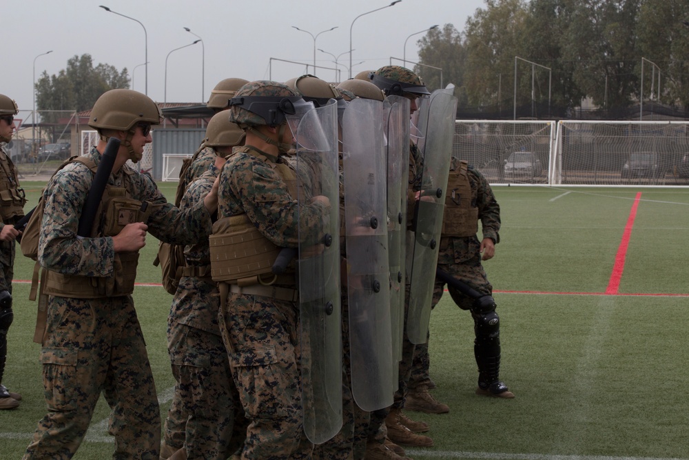 SPMAGTF-CR-AF 19.2 Train in Nonlethal Force Techniques