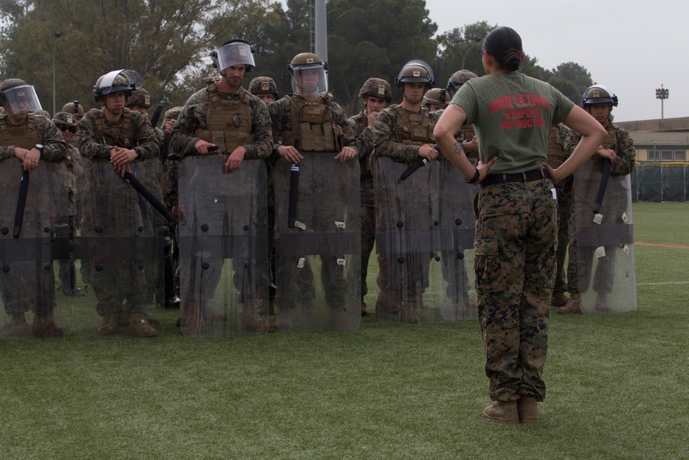 SPMAGTF-CR-AF 19.2 Train in Nonlethal Force Techniques