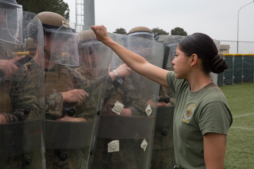 SPMAGTF-CR-AF 19.2 Train in Nonlethal Force Techniques