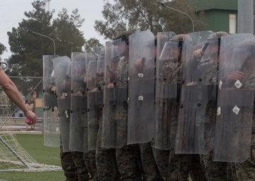 SPMAGTF-CR-AF 19.2 Train in Nonlethal Force Techniques
