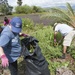 Volunteers restore ancient fishpond during Earth Month