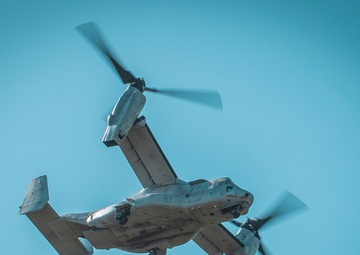 STP, LAR Working Together