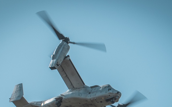 STP, LAR Working Together