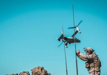 STP, LAR Working Together