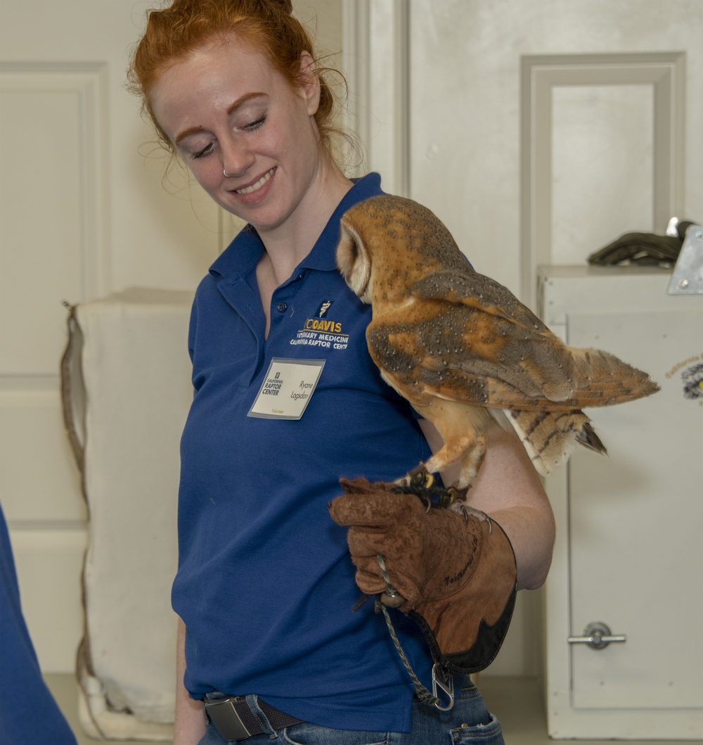 Earth Day, UC Davis California Raptor Center Visits Travis AFB