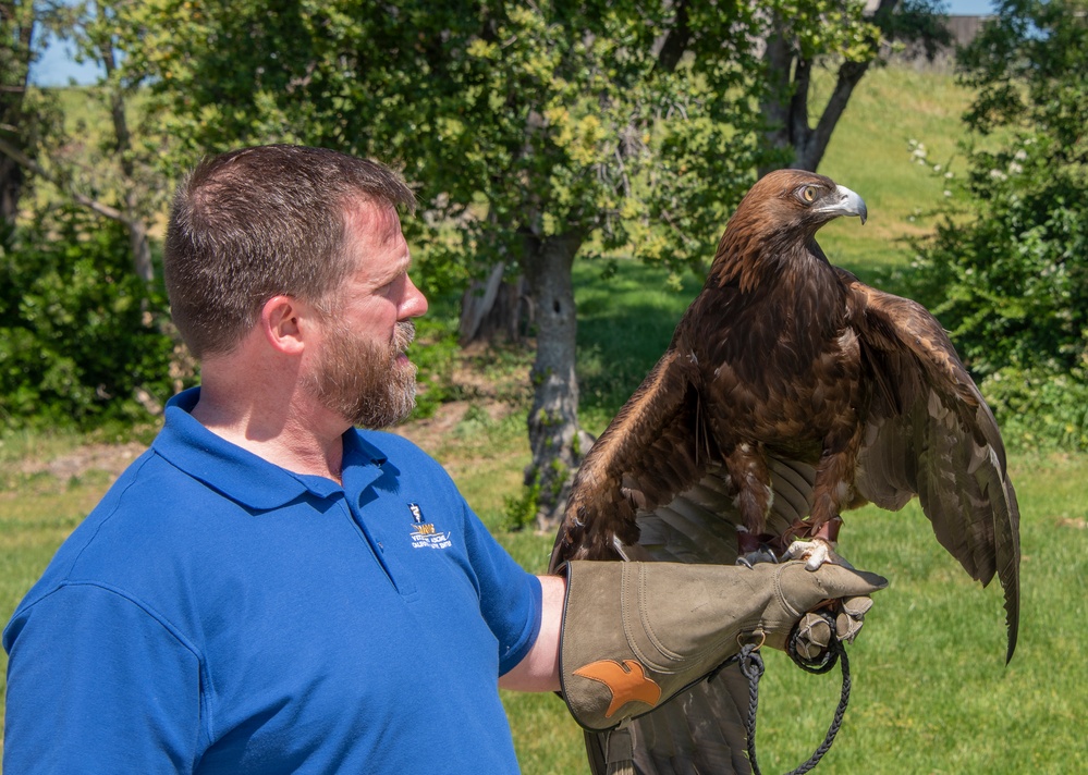 Earth Day, UC Davis California Raptor Center Visits Travis AFB