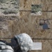 Security Forces ensures proficiency at Camp Williams