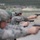 Security Forces ensures proficiency at Camp Williams