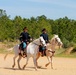 Gainey Cup International Scout Competition - Scouts in Action