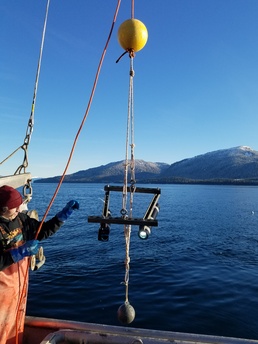 Innovative Underwater Camera System