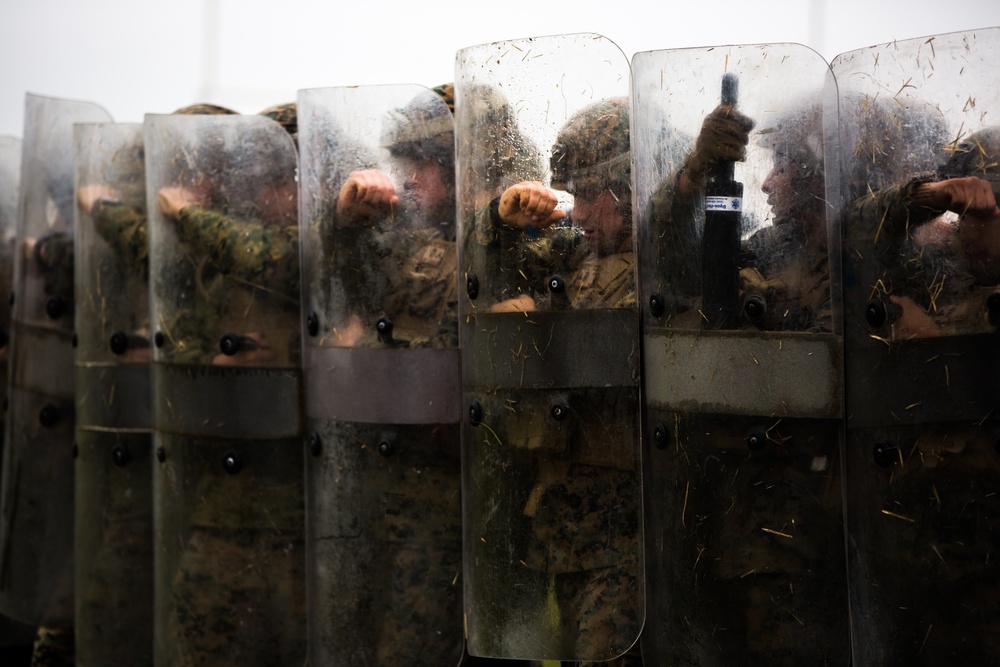 Marines with 3/12 conduct non-lethal weapons training during ARTP 19-1