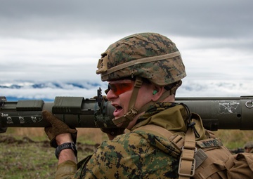 Fuji Viper Lima Company Squad Attacks