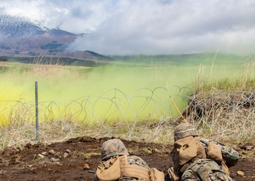 Fuji Viper Lima Company Squad Attacks