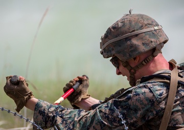 Fuji Viper Lima Company Squad Attacks