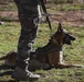 Cannon invites spouses to demonstrate base capabilities
