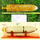 RCMD Munitions Assessment and Destruction
