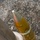 RCMD Munitions Assessment and Destruction