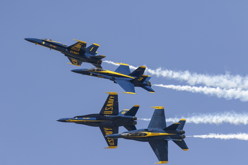 DVIDS Images Wings Over South Texas Airshow [Image 1 of 3]