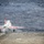 USS Dwight D. Eisenhower (CVN 69)