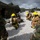 Casualty Evacuation and Chemical, Biological, Radiological, Nuclear Defense
