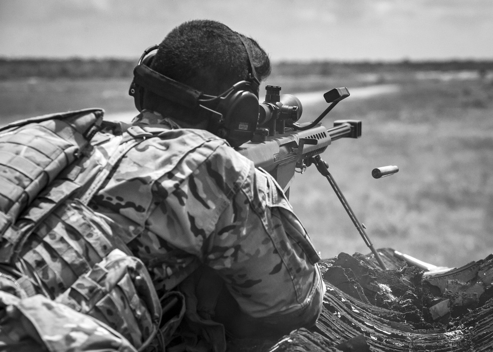 4-118th Soldiers Aim Sights During Annual Training