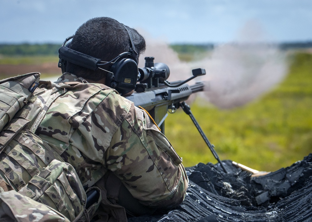 4-118th Soldiers Aim Sights Durning Annual Training