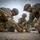 M249 and M4 qualification M249 and M4 qualification