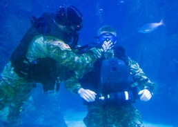 10th Group Green Berets Dive into Downtown Denver