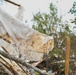 Gov. Stitt Surveys Tornado Damage