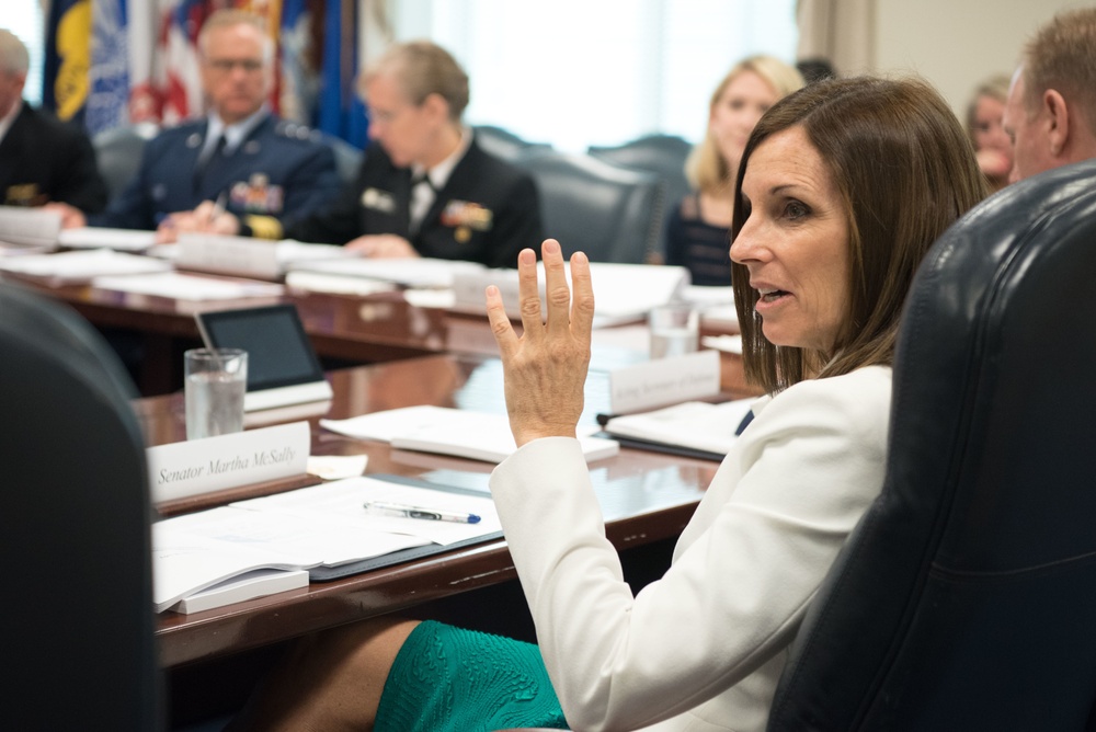 A/SD, CJCS and senior DoD leaders brief Sen. McSally on SAAITF
