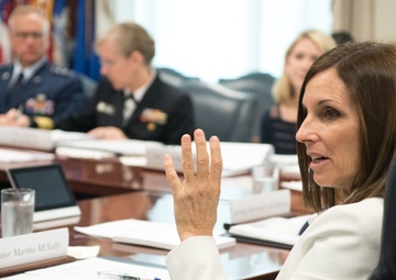 A/SD, CJCS and senior DoD leaders brief Sen. McSally on SAAITF
