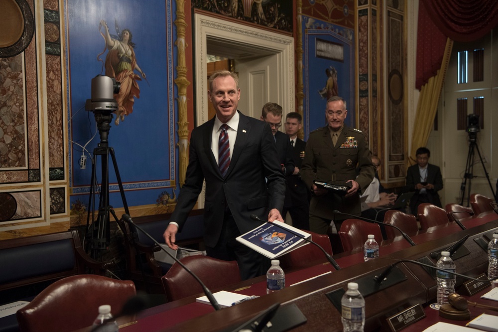 DOD Leaders Testify on Defense Budget Request