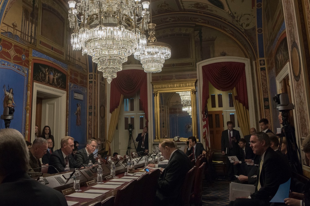 DOD Leaders Testify on Defense Budget Request